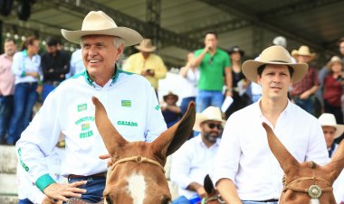 “Importante para manter vivas as tradições”, afirma Daniel Vilela sobre primeiro Encontro de Muladeiros de Goiânia
