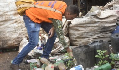 Dengue: momento ainda é de preocupação