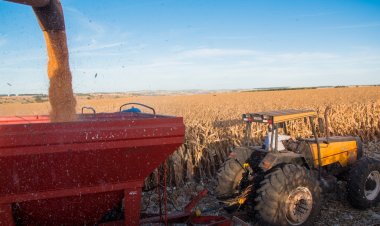 Agronegócio em Goiás emprega mais de 1 milhão de pessoas em 2023