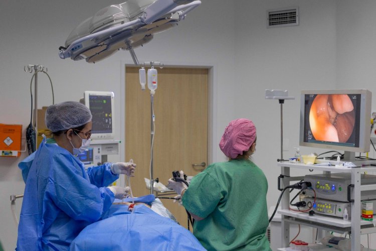 Excelência na saúde pública e solidariedade já são marcas do HMB