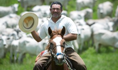 Dia do Trabalhador: agropecuária goiana gera 6,7 mil empregos em 2024