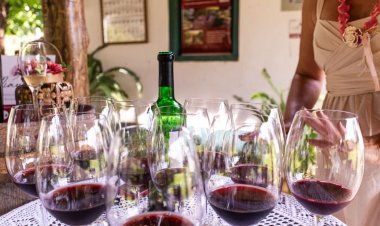 Entorno destaca turismo gastronômico, de aventura e de experiência em evento no RJ