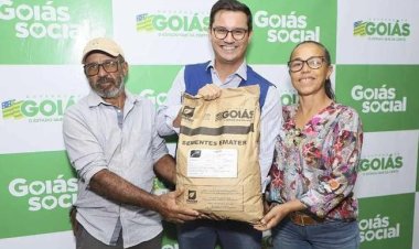 Emater Goiás inicia entrega de sementes de milho para produtores de leite no estado