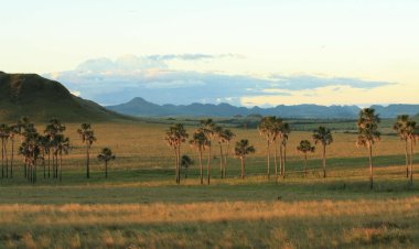 Inscrições para o Inova Cerrado são prorrogadas até dia 15 de setembro