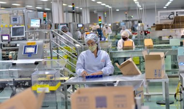 PIB goiano cresce 4,7% em junho