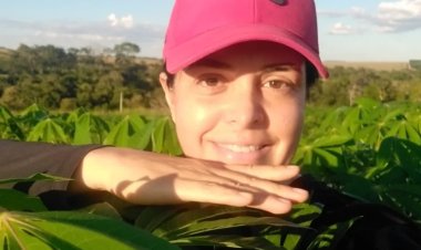 Mandioca japonesinha é aposta de ganhos para cooperativa em Novo Gama