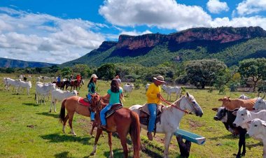 Nova Lei Geral do Turismo deve impulsionar setor em Goiás