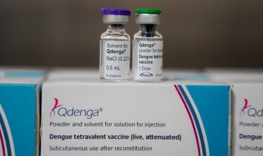 Em Goiás, mais de 120 mil pessoas ainda não completaram esquema de vacinação contra dengue