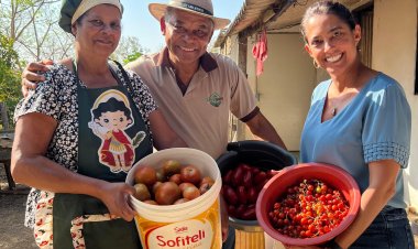 Entorno lidera entregas no Programa de Aquisição de Alimentos Estadual