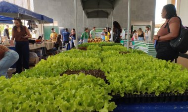Feira do Produtor em Posse movimenta o IF Goiano e valoriza a agricultura familiar