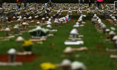 Novembro terá três feriados nacionais este ano