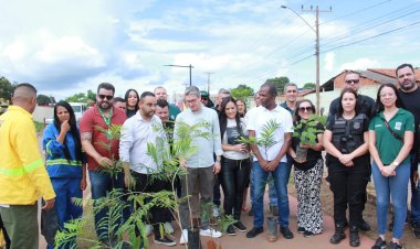 Águas Lindas inicia ações da Virada Ambiental com plantio de árvores