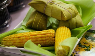 Tradicional pamonha goiana ganha sabores novos no Entorno