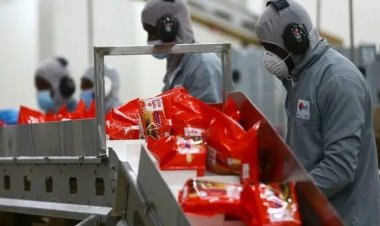 Economia goiana é a que mais cresce no país em novembro