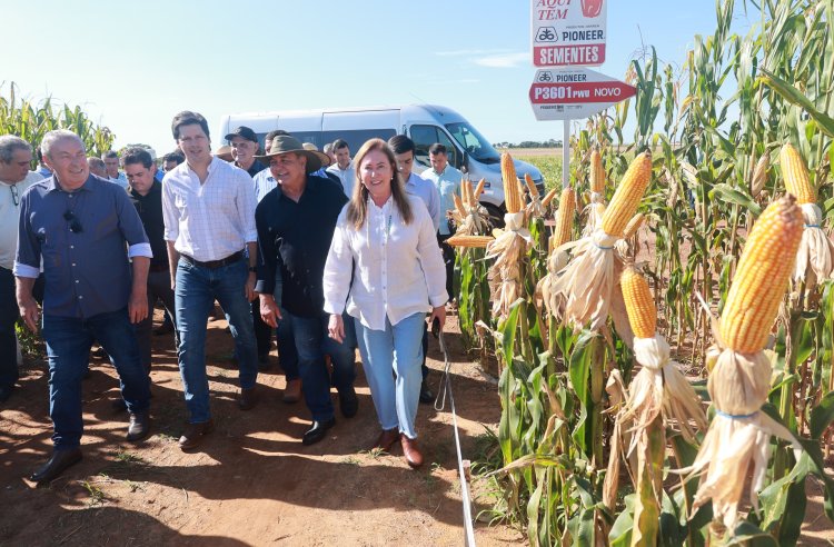 Daniel Vilela projeta Vale do Araguaia como importante fronteira agrícola em Goiás