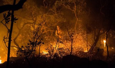 Governo de Goiás investe R$ 1 milhão na prevenção de incêndios no Cerrado