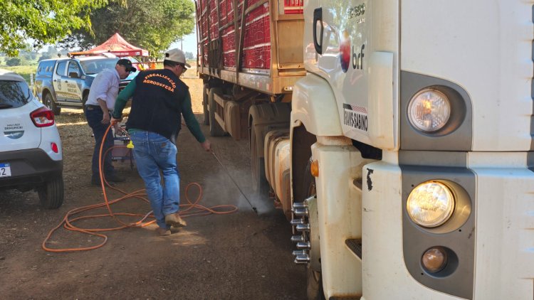 Governo de Goiás intensifica medidas emergenciais para conter foco de gripe aviária em Santo Antônio da Barra
