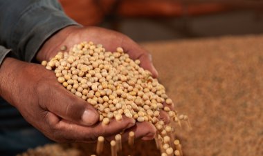 Avanços de Goiás são destaques no programa Globo Repórter