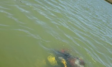 Homem morre afogado na Barragem do Paranã em Flores de Goiás