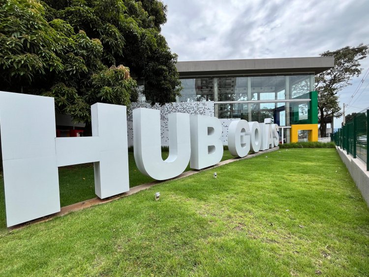 Governo de Goiás oferece R$ 20 mil para empresas investirem em tecnologia