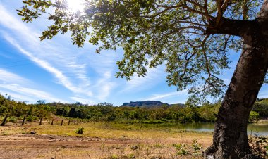 Goiás remunera produtores rurais que preservam o cerrado
