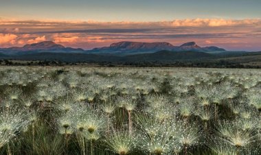 Governo de Goiás apresenta destinos turísticos em feira internacional a convite da Embratur