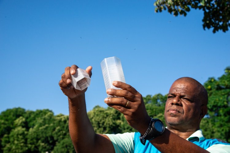 Governo de Goiás participa da soltura de mosquitos Aedes aegypti que não transmitem doenças