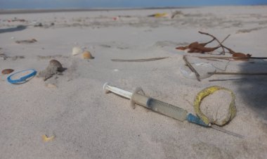 Pesquisa liderada por Goiás revela que 70% das praias brasileiras estão contaminadas por microplásticos
