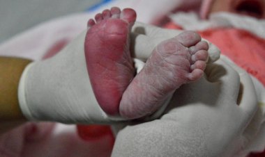 Hospital Estadual de Formosa ultrapassa mil partos humanizados e consolida referência regional em assistência materno-infantil