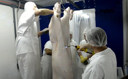 Agrodefesa institui regras para programas de autocontrole em produtos de origem animal