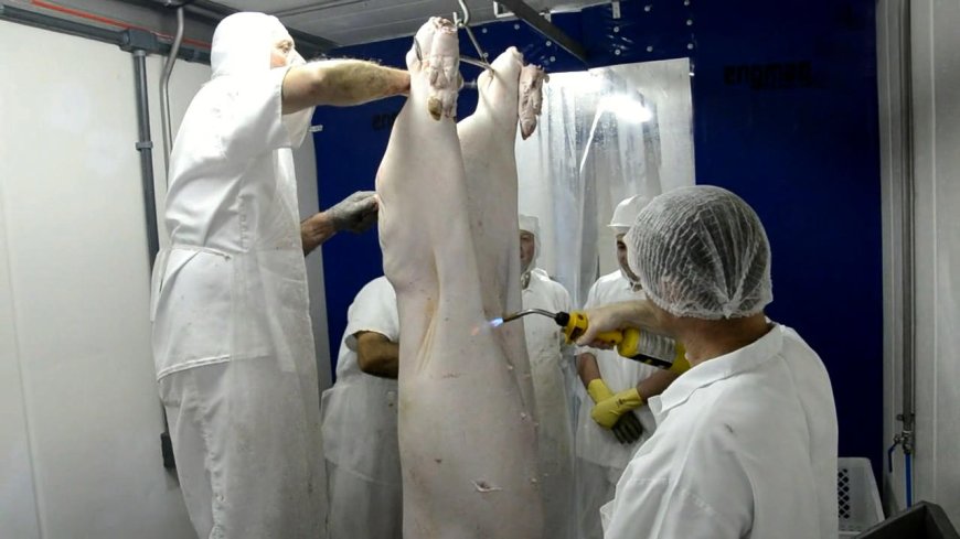 Agrodefesa institui regras para programas de autocontrole em produtos de origem animal