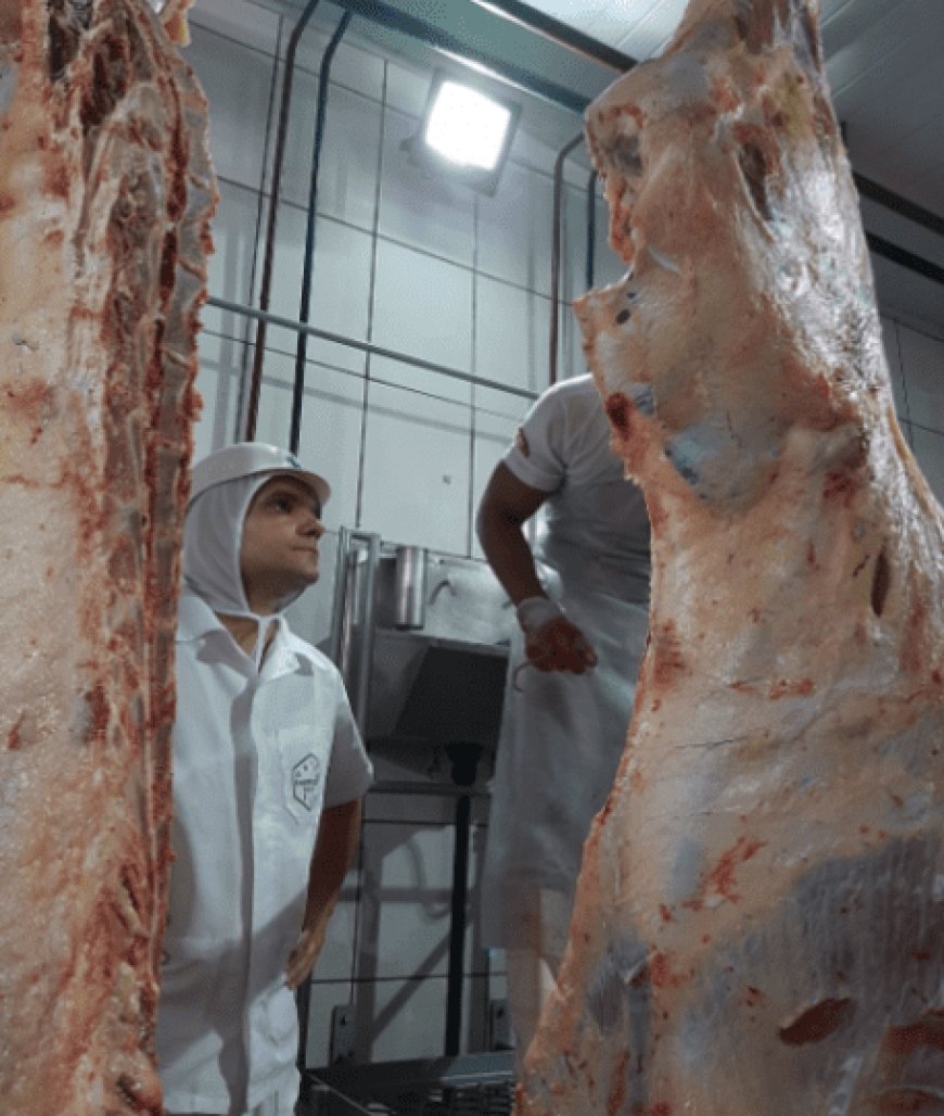 Agrodefesa institui regras para programas de autocontrole em produtos de origem animal