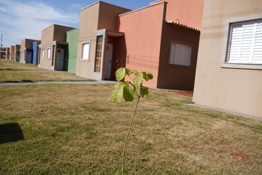 Governo de Goiás consolida política de habitação social com investimento de quase R$ 1 bilhão em 2025 