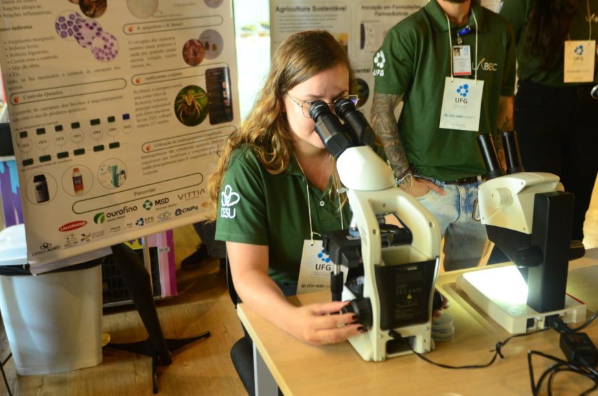 Governo de Goiás destina mais de R$ 13,2 milhões para bolsas de mestrado e doutorado