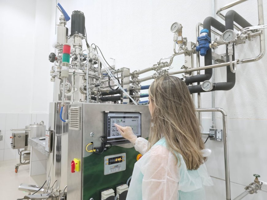 Governo de Goiás destina mais de R$ 13,2 milhões para bolsas de mestrado e doutorado