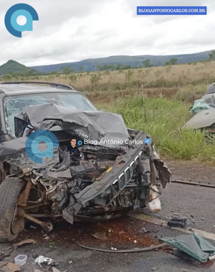 Grave acidente na BR-020 deixa dois mortos e pelo menos sete feridos em Alvorada do Norte (GO)