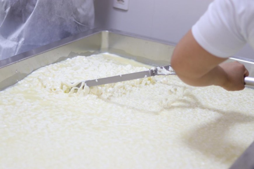 Inscrições para projeto de melhoria de agroindústrias terminam neste sábado (7/2)