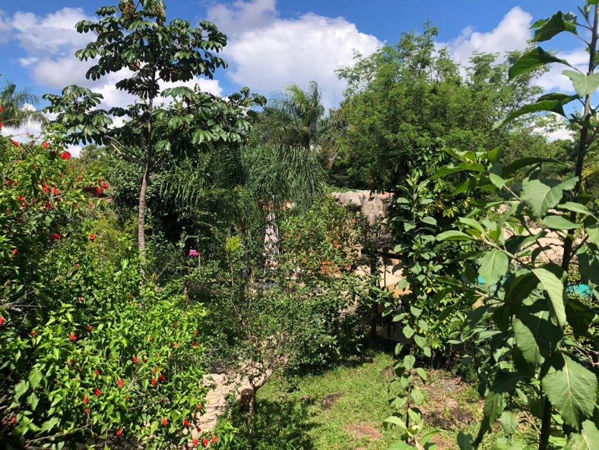 Empreendedora transforma pousada em referência no turismo da Chapada dos Veadeiros, em Alto Paraíso de Goiás