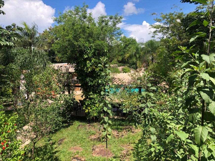 Empreendedora transforma pousada em referência no turismo da Chapada dos Veadeiros, em Alto Paraíso de Goiás