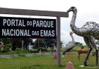 Governo de Goiás ativa 33 pontos de Wi-Fi público e amplia conectividade no estado