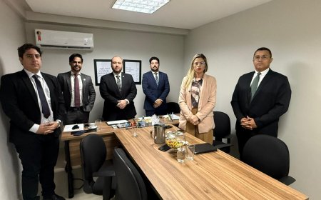 Sistema de Defesa das Prerrogativas da OAB-GO reage à prisão arbitrária de advogada e aciona órgãos de controle contra delegado