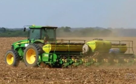 Terras desvalorizadas: entenda por que fazendas estão sendo vendidas por até quase a metade do valor em Goiás