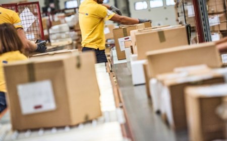 Economia goiana mantém crescimento e é impulsionada pelo setor de serviços, aponta IMB