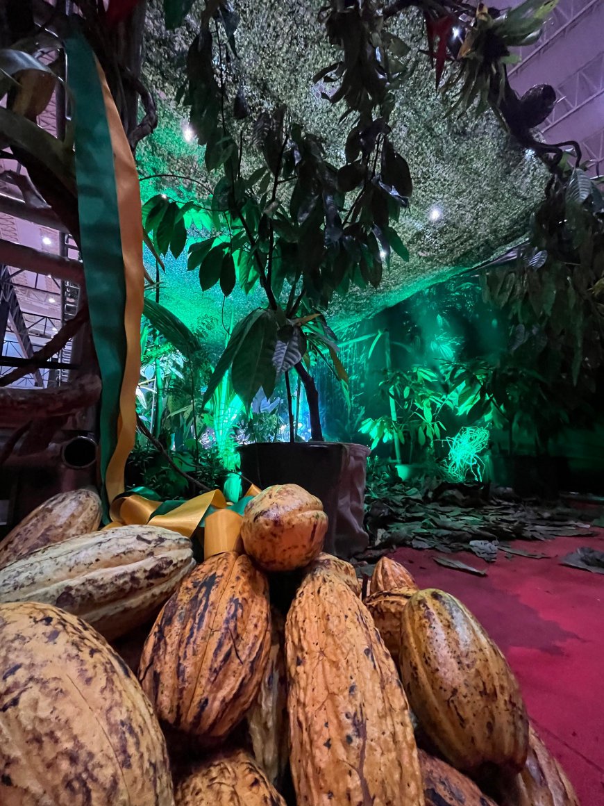 Empreendedores do Entorno levam sabores regionais ao Chocolat Festival