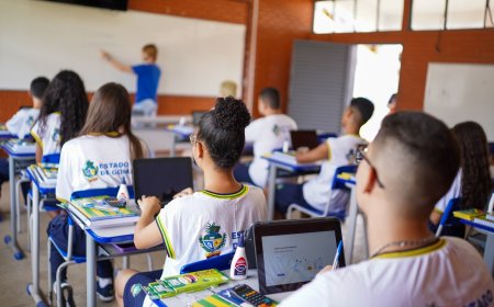 Goiás conquista o 1º lugar do país na Redação do Enem 2025 entre as redes estaduais