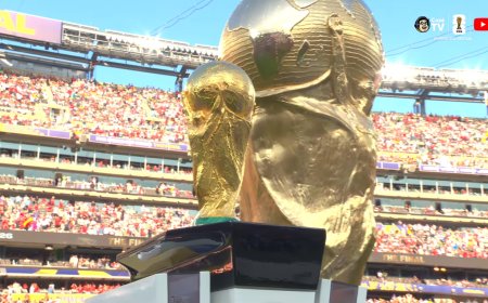 Espanha vence a Argentina e é bicampeã mundial