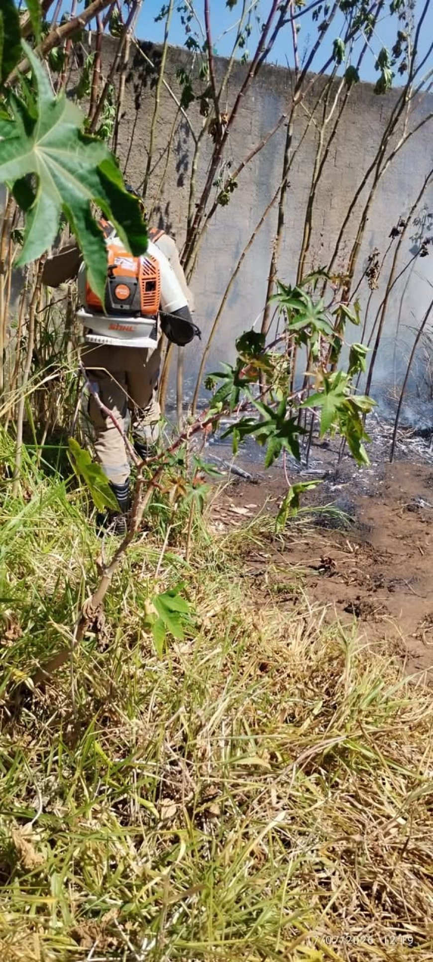 Incêndio em vegetação mobiliza Corpo de Bombeiros no centro de Formosa