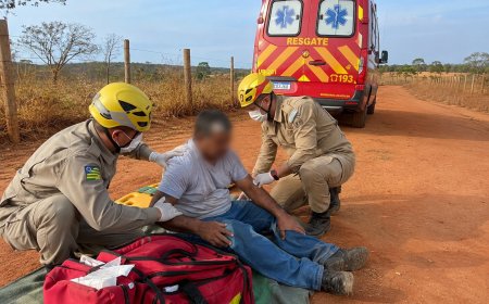 Homem com histórico de alergia é socorrido após sofrer mais de 100 picadas de abelhas na zona rural de Formosa