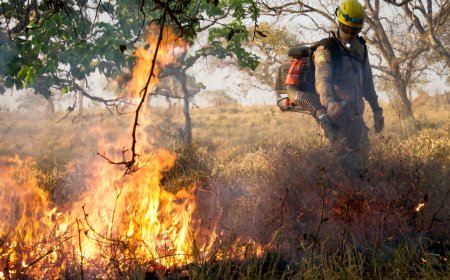 Governo de Goiás orienta população sobre prevenção a incêndios em áreas urbanas