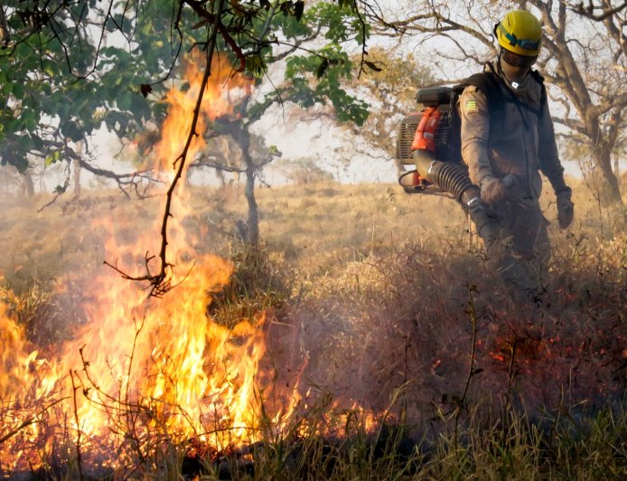 Governo de Goiás orienta população sobre prevenção a incêndios em áreas urbanas